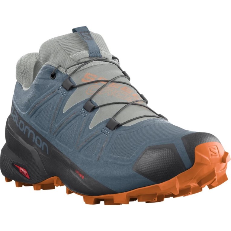 Salomon Speedcross 5 GTX Trailove Bezecke Tenisky Panske Modre | SK 5TVOEC